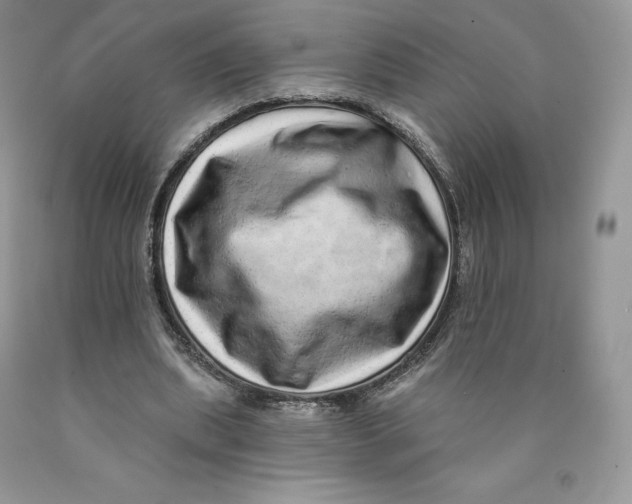 X0000089940439200707271821