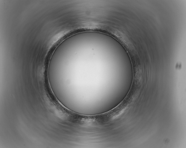 X0000089940440200707271822