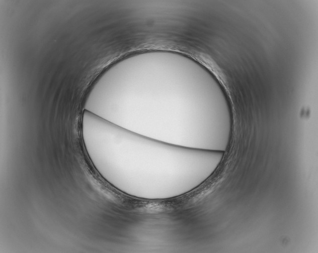 X0000089940441200707271822