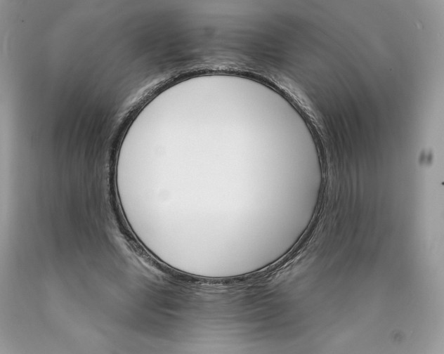 X0000089940442200707271822