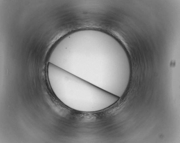 X0000089940443200707271822