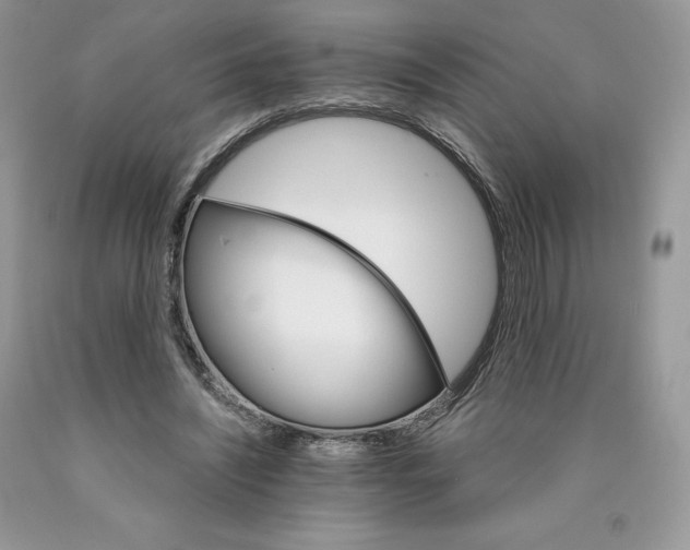 X0000089940444200707271822