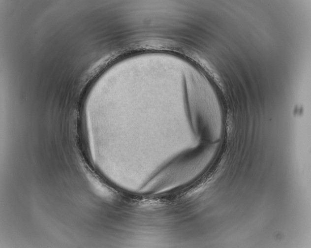 X0000089940445200707271822