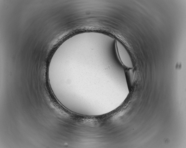 X0000089940446200707271822