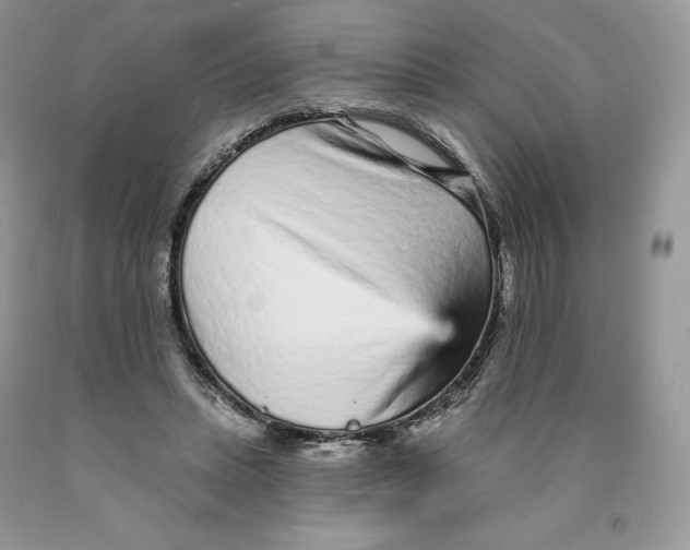 X0000089940447200707271822