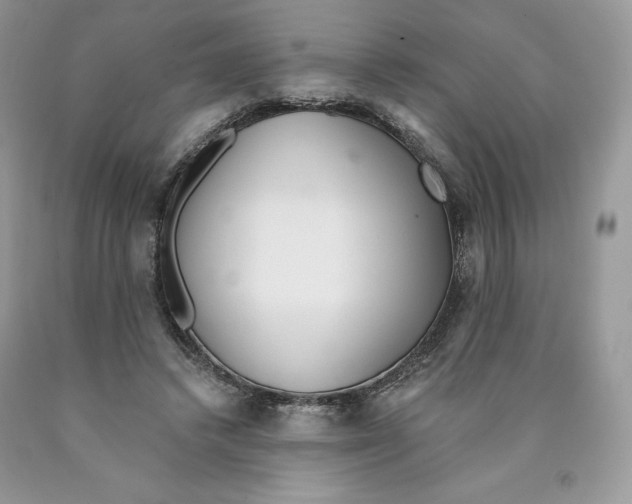 X0000089940448200707271822