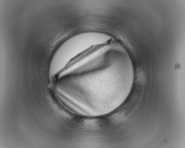 X0000089940450200707271822