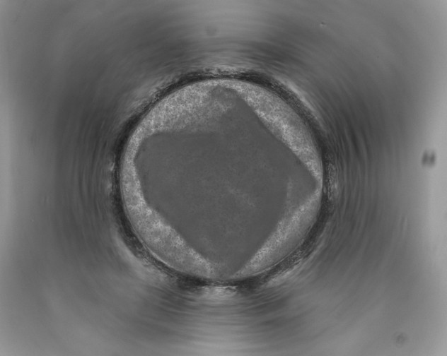 X0000089940451200707271822