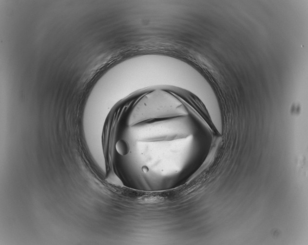 X0000089940452200707271822