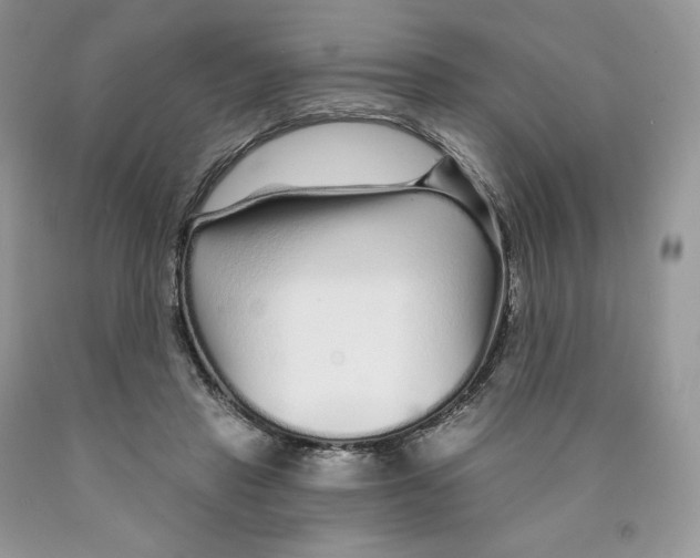 X0000089940453200707271822