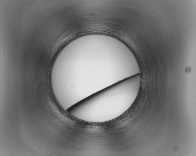 X0000089940454200707271822