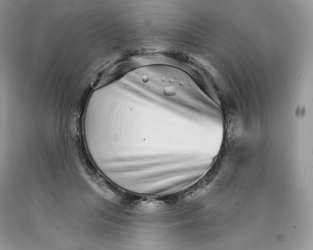 X0000089940455200707271822
