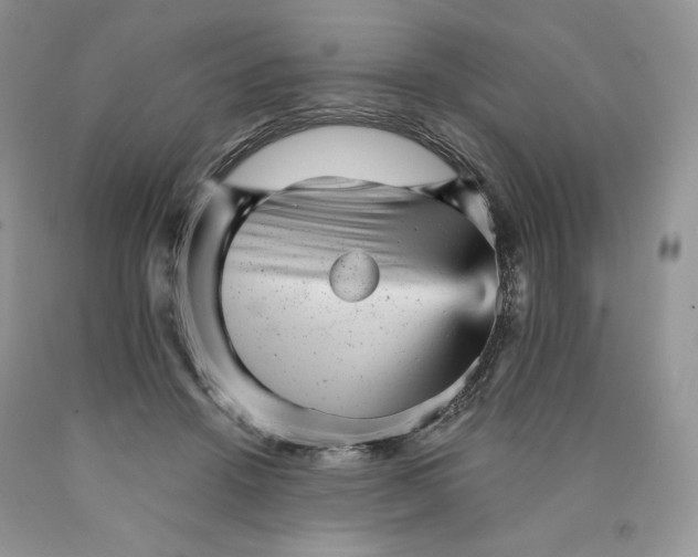 X0000089940456200707271822