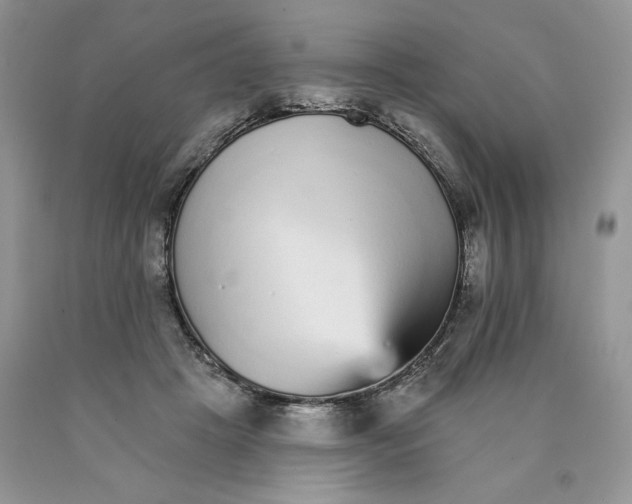 X0000089940457200707271822