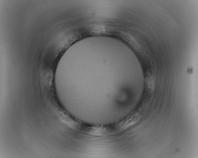 X0000089940458200707271822
