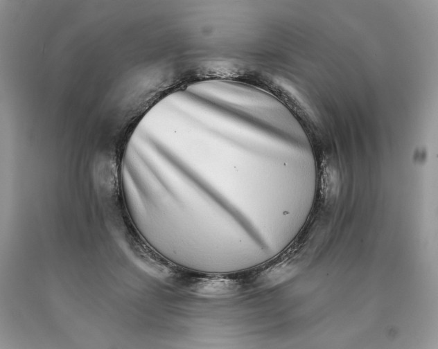 X0000089940459200707271822