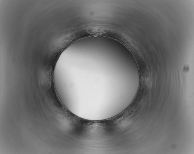 X0000089940460200707271822