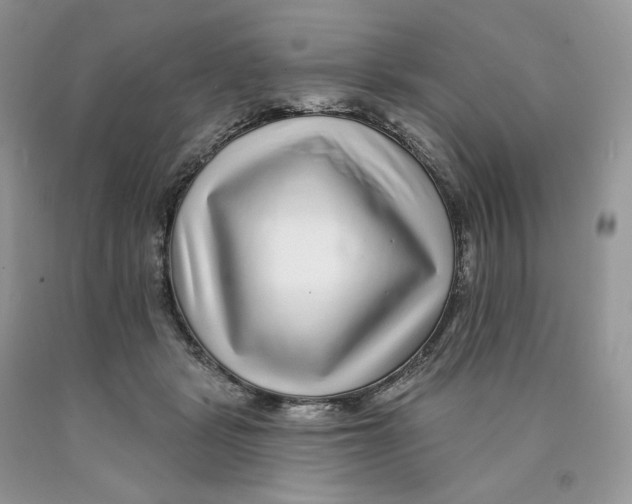 X0000089940461200707271822