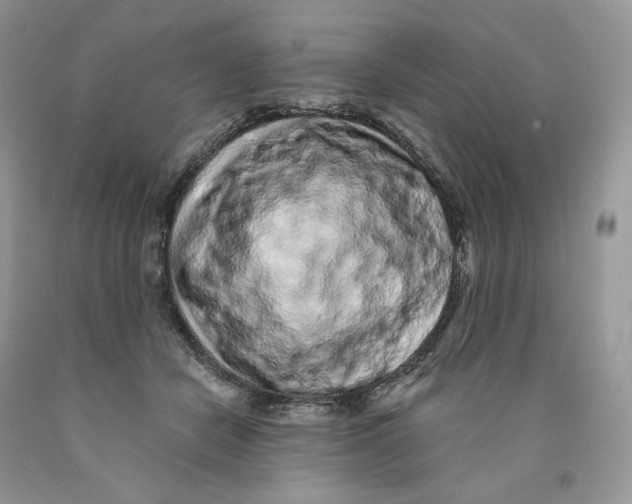 X0000089940462200707271822
