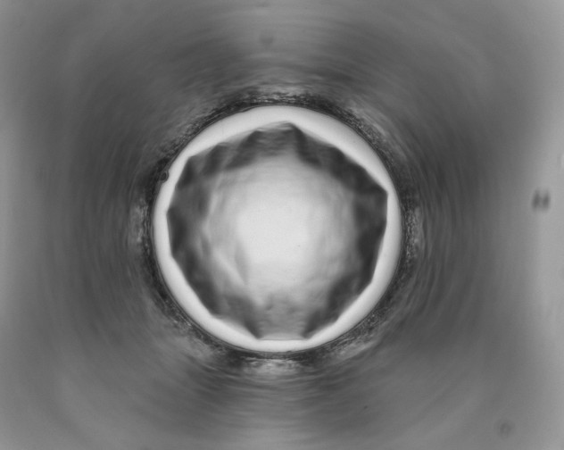 X0000089940463200707271822