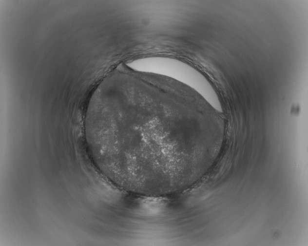 X0000089940465200707271822