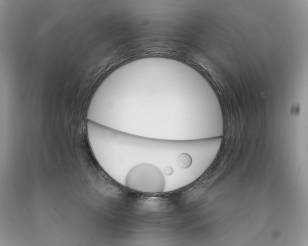 X0000089940467200707271822