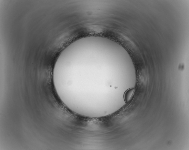 X0000089940468200707271822
