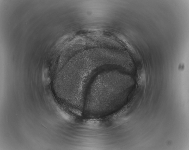 X0000089940471200707271822