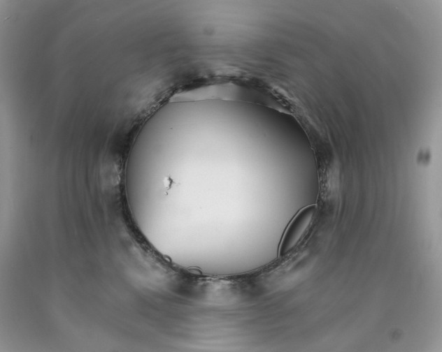 X0000089940472200707271822
