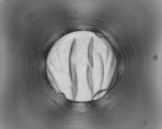 X0000089940473200707271822