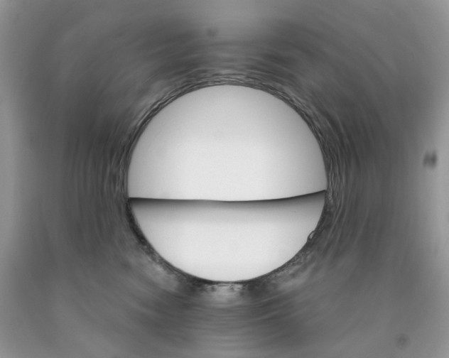 X0000089940474200707271822
