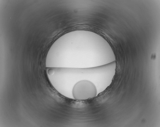 X0000089940475200707271822
