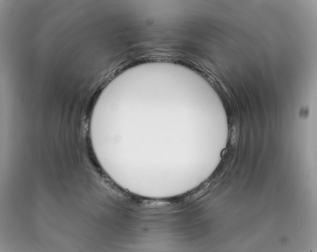X0000089940476200707271822