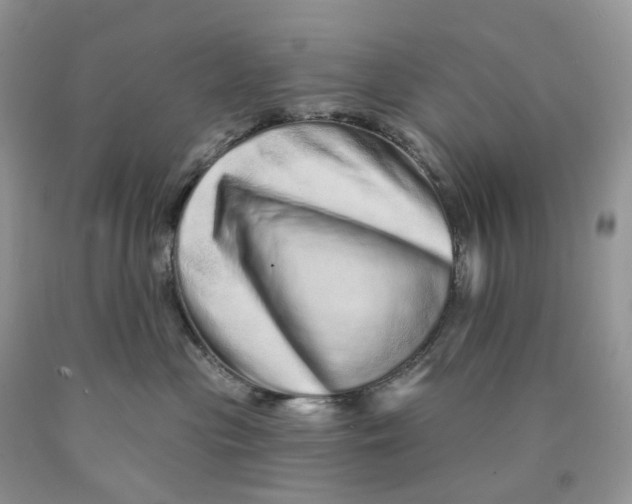 X0000089940477200707271822