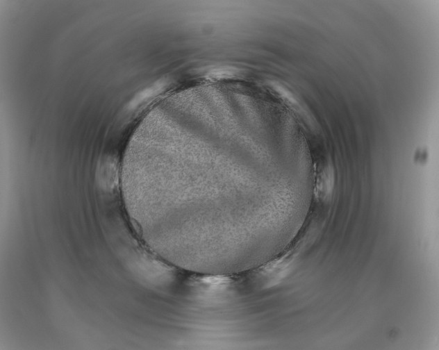 X0000089940478200707271822