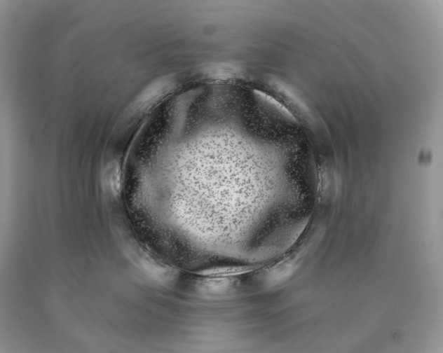 X0000089940479200707271822
