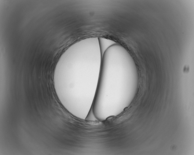 X0000089940480200707271822