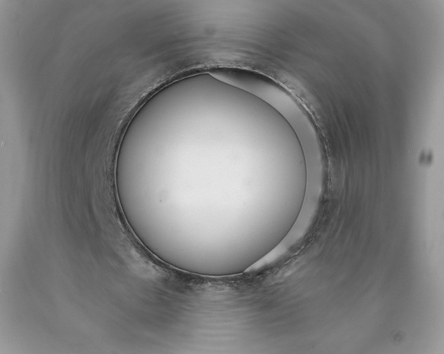 X0000089940481200707271821