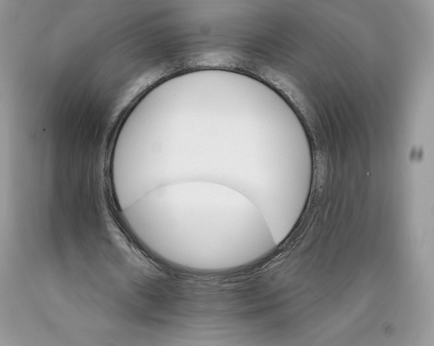 X0000089940482200707271821