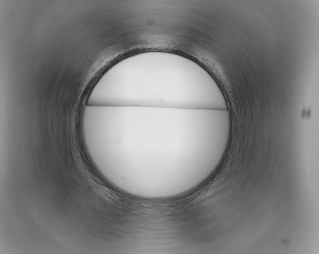 X0000089940483200707271821