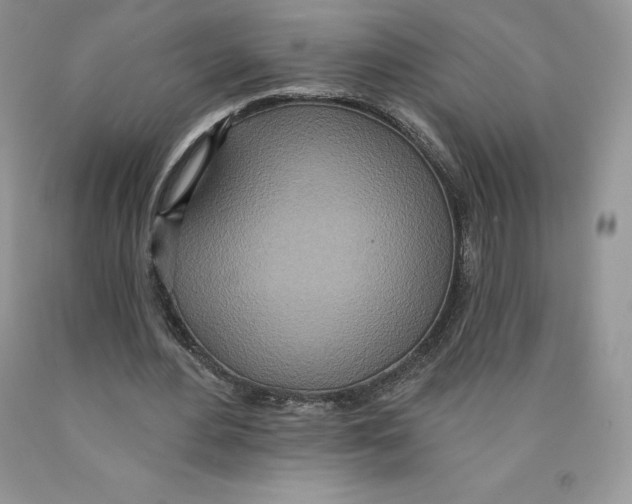 X0000089940484200707271821