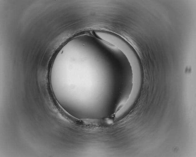 X0000089940485200707271821