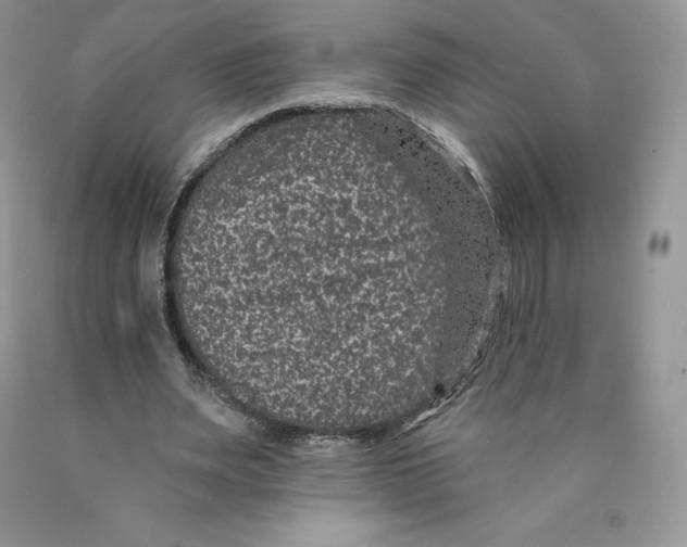 X0000089940487200707271821