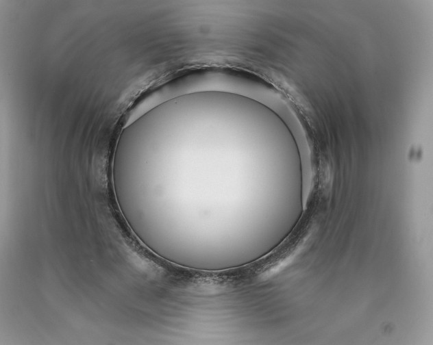 X0000089940489200707271821