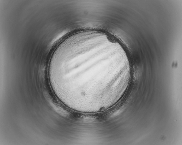 X0000089940491200707271821