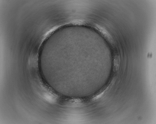 X0000089940492200707271821