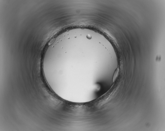 X0000089940493200707271821