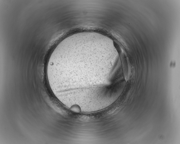 X0000089940494200707271821