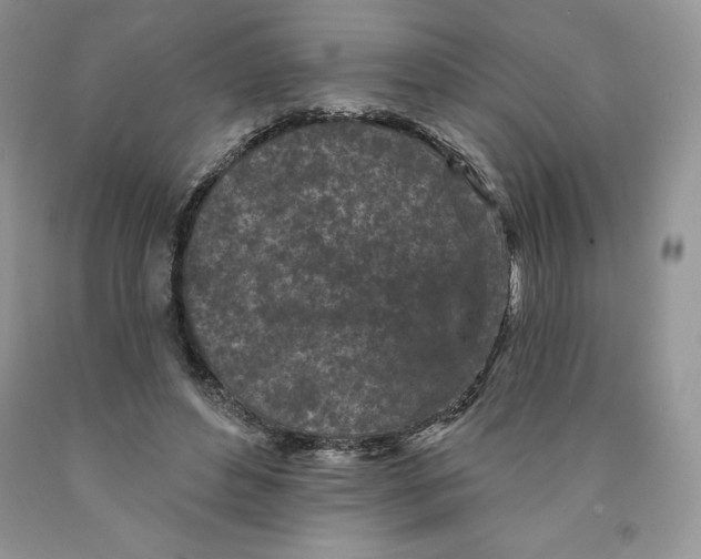 X0000089940496200707271821