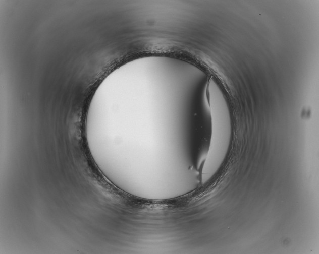 X0000089940497200707271821